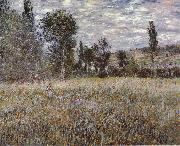 Claude Monet A Mcadow oil on canvas